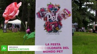 Torna la Pet Flower Parade, l'evento dedicato ai cani di ogni taglia