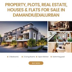 Real Estate Companies in Damandiu