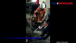 Ular Piton Sepanjang 6 Meter Kejutkan Asrama Haji Sukolilo Surabaya
