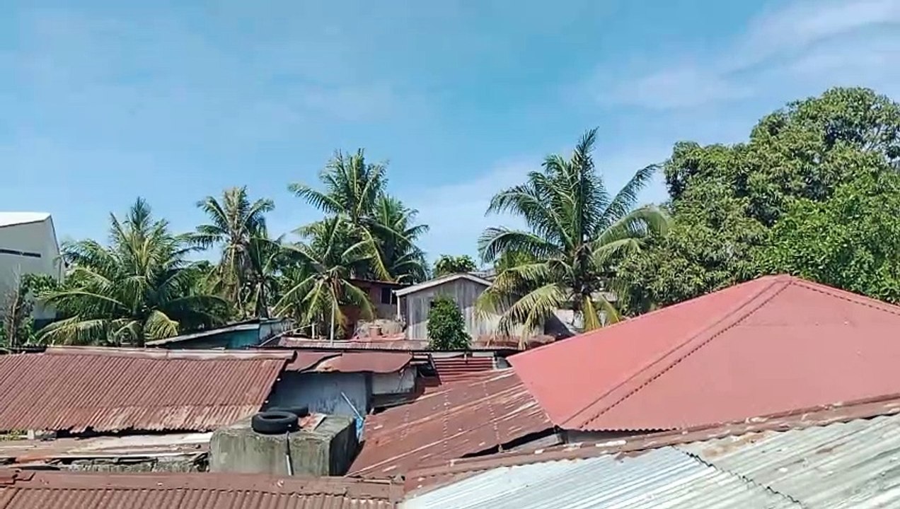coconut 