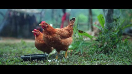 Kumari Malayalam movie part 2