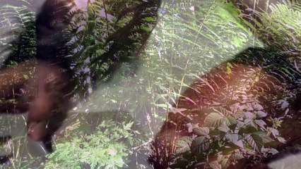 El Pombero (y un hombre llamado Juan) - Voces en susurro (22/05/2024)