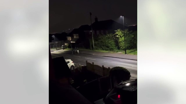 Child on Fox Lane, S12, attempts to smash bus stop as spate of criminal damage is reported in the area