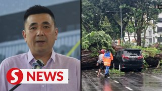 Penang local councils ordered to inspect trees after Jalan Macalister incident