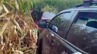 Durante fuga, condutor invade milharal e abandona carro lotado com cigarros