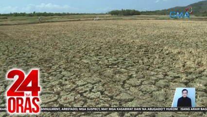 Dagdag-kapangyarihan para sa NFA, hiling ng DA sa pag-amyenda sa Rice Competitiveness Enhancement Fund | 24 Oras