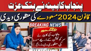 Punjab Cabinet approves draft Defamation Law 2024 | Breaking News