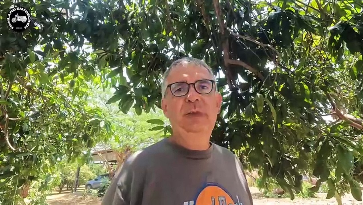 Renovieren am Gästehaus geht weiter