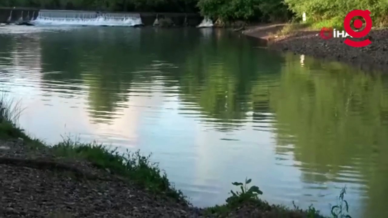 Nesli tükenme tehdidi altındaydı, bir yıl aradan sonra yeniden görüntülendi