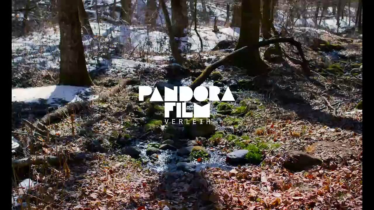 EVIL DOES NOT EXIST Film