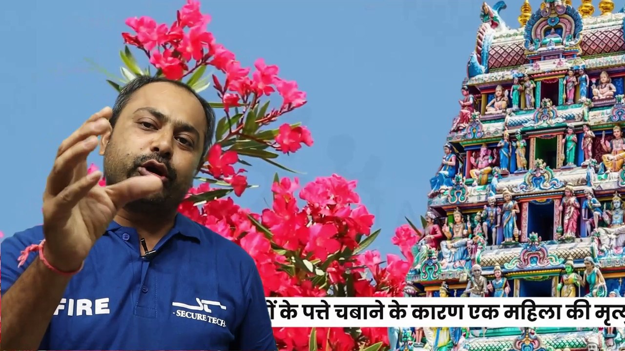 Nerium oleander || કરેણ || #harshadsir #currentaffairs #news #band #gpsc #gssc #education #gsssb