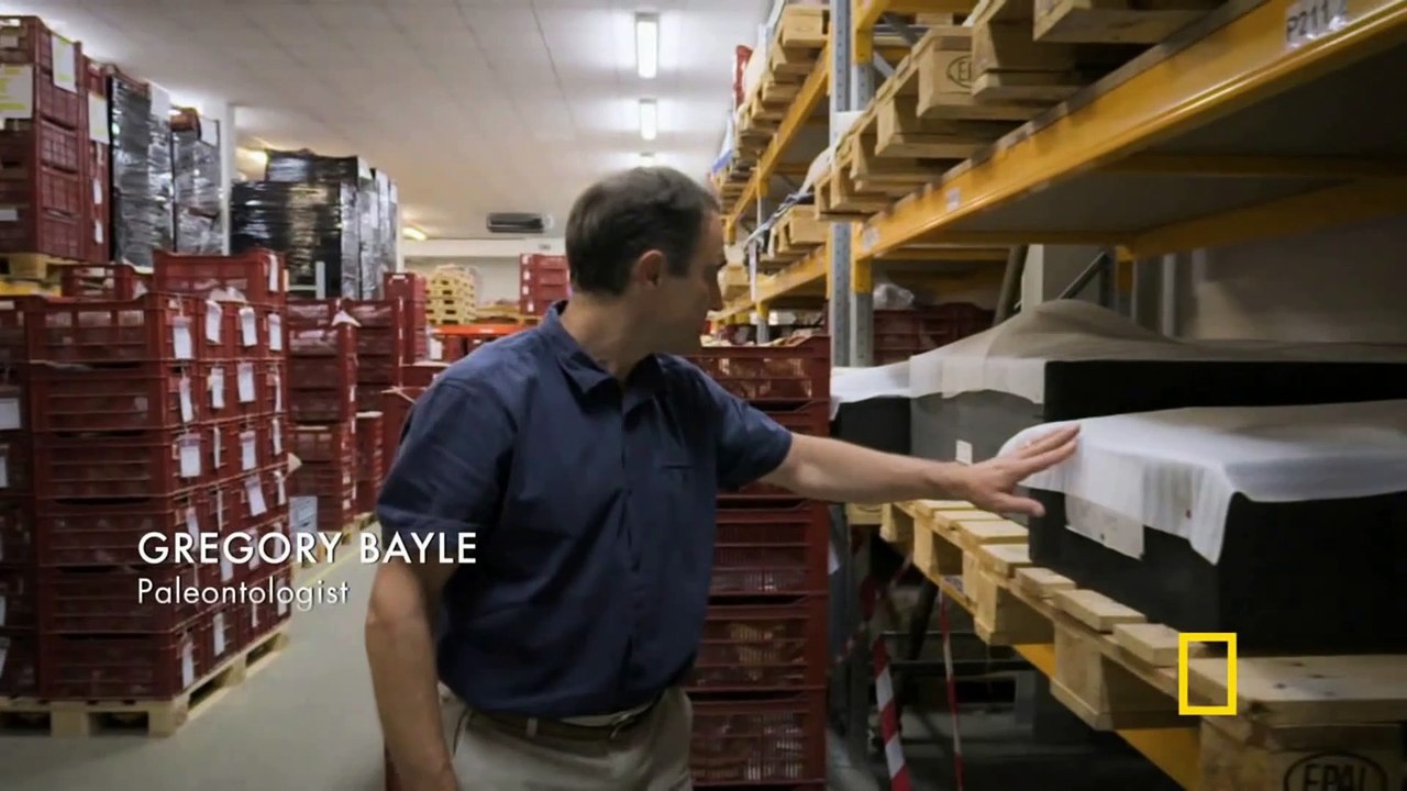 NATIONAL GEOGRAPHIC - SEGREDOS DE FERAS GIGANTES - SEGREDOS DOS MAMUTES GIGANTES