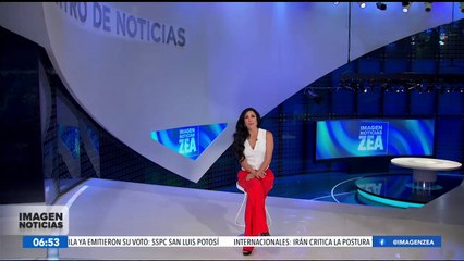 El PVEM busca un apoyo financiero mensual para jóvenes embarazadas