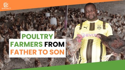 Burkina Faso: Poultry farmers from father to son