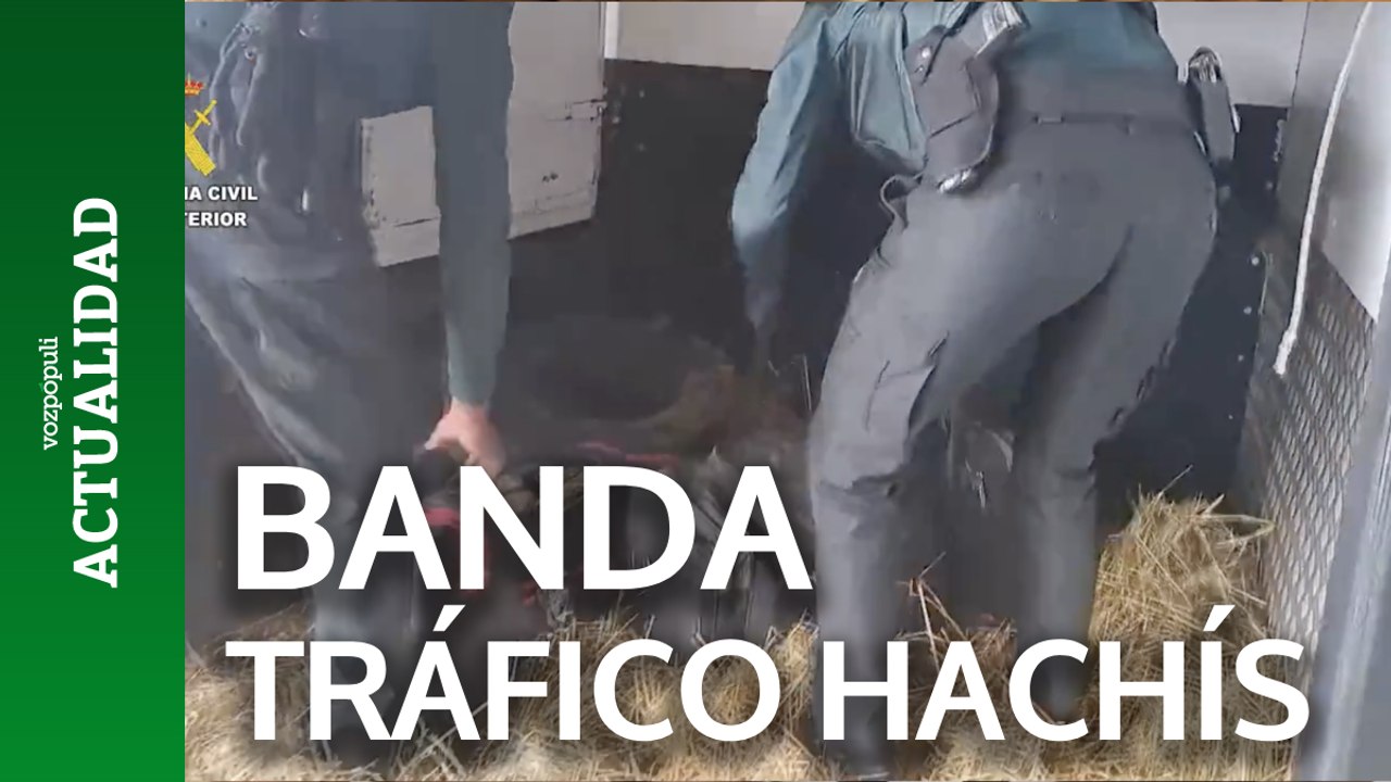 Desarticulada una banda que traficaba hachís en vehículos de transporte de caballos