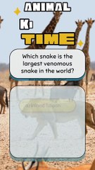 Animal Kingdom Quiz