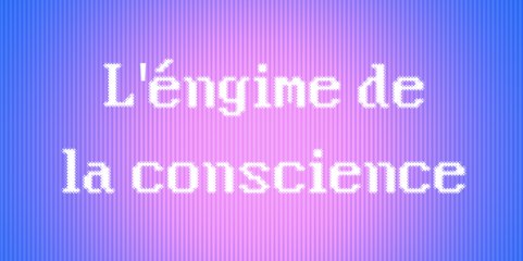 Qu'est-ce que la Conscience ?