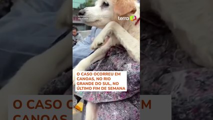 Cachorro continua 'nadando' mesmo após ser resgatado por voluntários #shorts