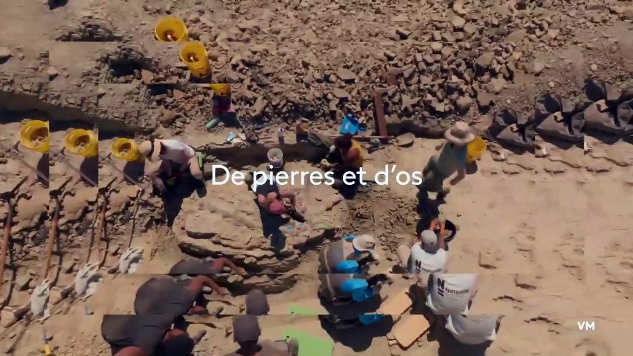 L’âge d’or des dinosaures - 16 mai