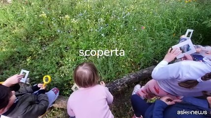 "Angoli di biodiversit?" in 4 scuole dell'infanzia di Milano