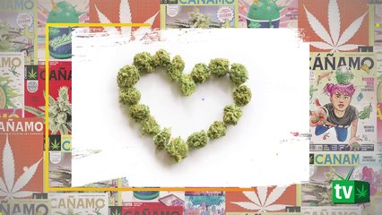 Verdades y mentiras sobre el consumo de cannabis (desmontando mitos)