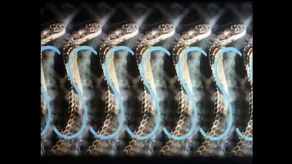 SSSSnake, Le Cobra Bande-annonce (EN)