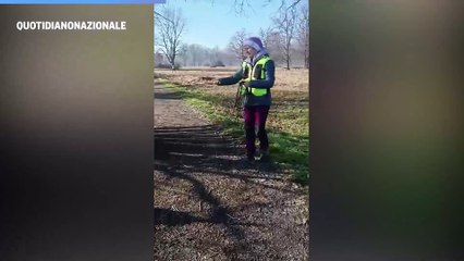 Cani da mantrailing: come fiutano le persone scomparse