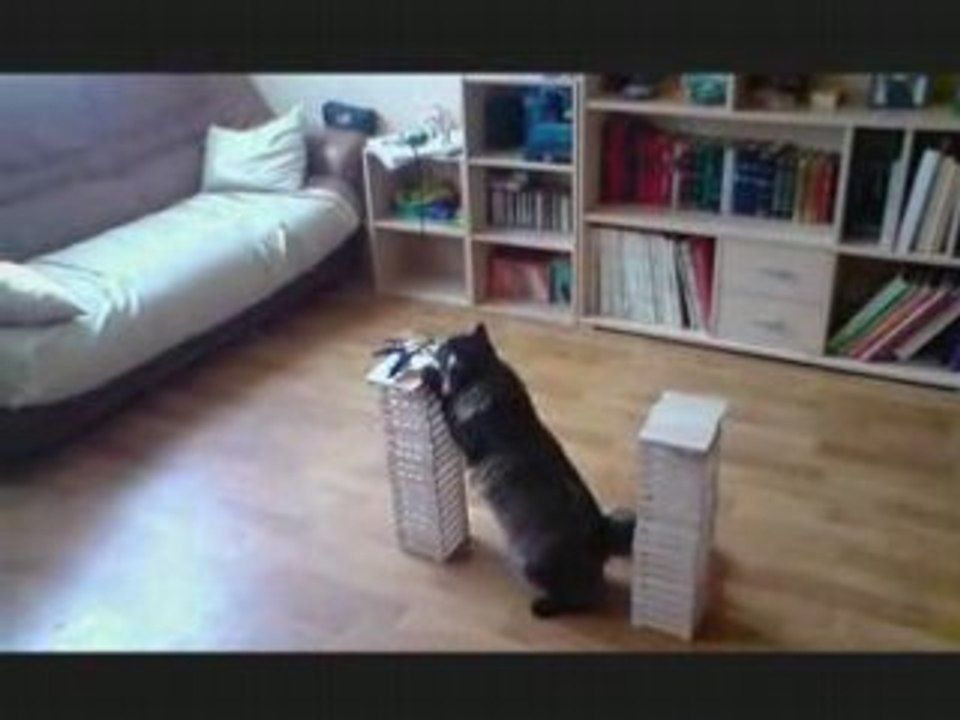 PiccoZ vs chats2