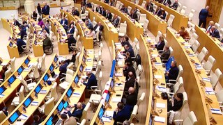 Fights break out in Georgian parliament over 'Russia' bill