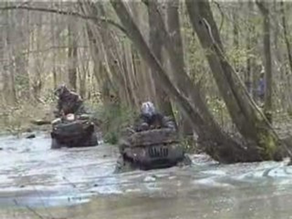 Puma dans la marne