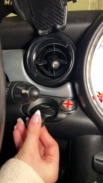 This Mini is all set for take-off…✈️ #mini #planes #funny