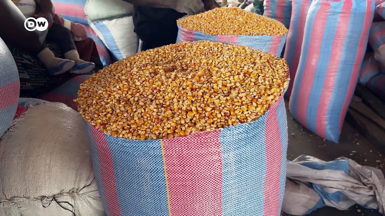 Wie KI in der Landwirtschaft hilft