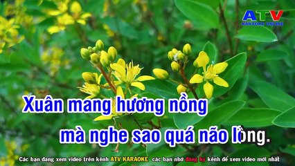 05.Karaoke   Mùa Xuân Xa Quê - Tone Nam - Rumba Nhạc Sống - ATV Karaoke