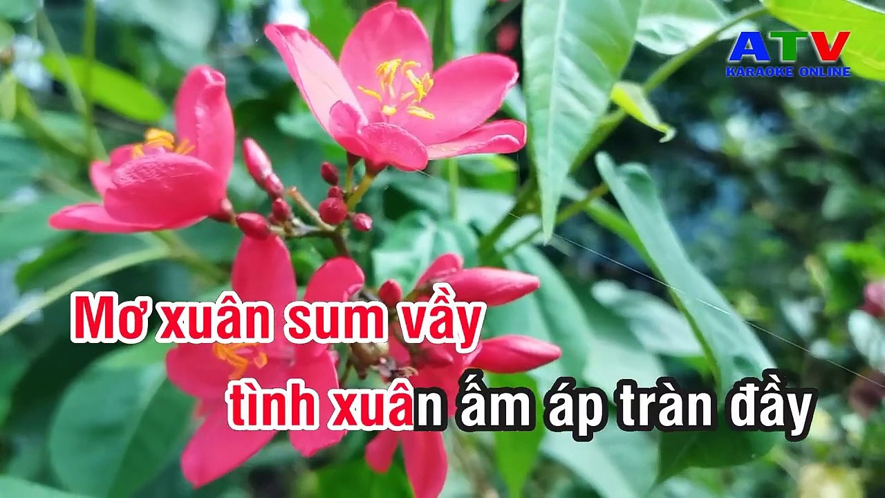 03.Karaoke   Mùa Xuân Xa Quê - Tone Nữ - Rumba Nhạc Sống - ATV Karaoke