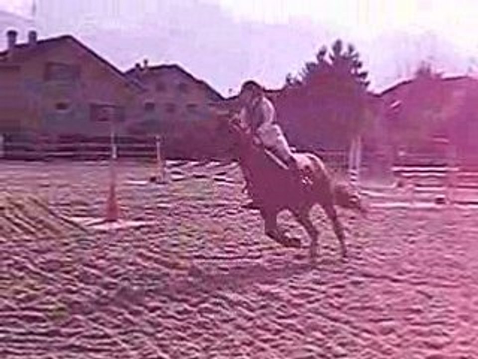 CIMG2649