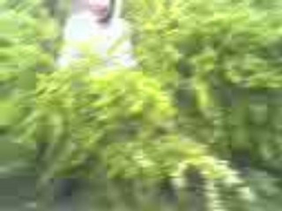 Vidéo-0005