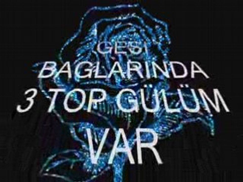 SELDA BAGCAN-GESI BAGLARI