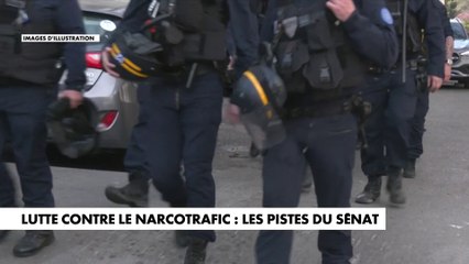 Lutte contre le narcotrafic : les pistes du Sénat