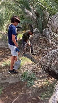 Watch: UAE residents clean ancient irrigation system after historic storm