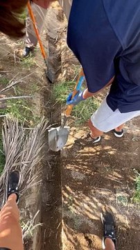 Watch: UAE residents restore broken Falaj, clean ancient irrigation system after historic storm