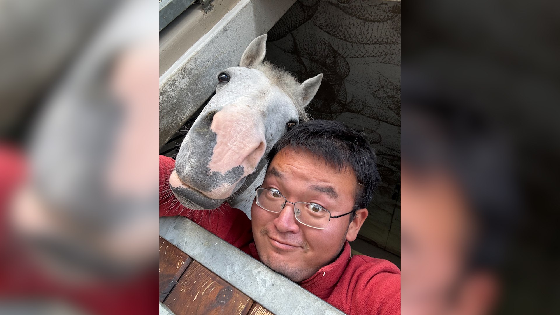 Un peregrino chino y su caballo recorren doce pases y siete mil kilmetros en dos aos