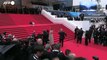 Cannes: sul red carpet anche Messi, il cane di 