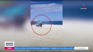 VIDEO: Toro suelto en playas de Baja California Sur