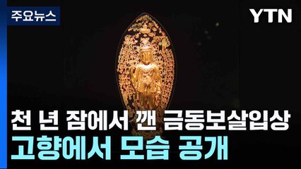 베니스에 '임을 위한 행진곡'...헌법 전문 수록 염원 / YTN