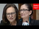 'How Exactly Are You Defining Conservation?': Deb Fischer Grills Deb Haaland In Senate Hearing