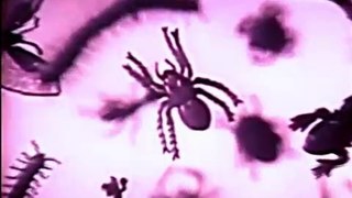 1960s Creepy Crawlers Thing Maker toy TV commercial