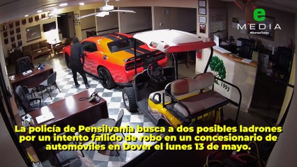 Ladrones frustrados quedan atrapados en concesionaria de autos