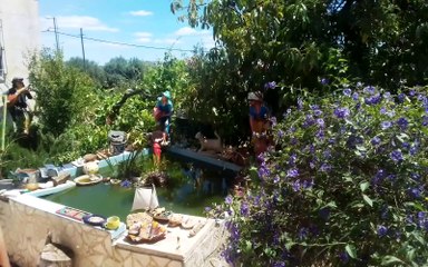 Epoca das Sardinhas...