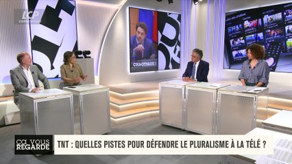 Ça vous regarde - Commission TNT : comment défendre le pluralisme des médias ?