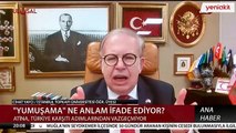 Cihat Yaycı'dan Yunan adası tepkisi: Rakı balık mıdır senin milliyetçiliğin? Filistin ile de Deniz Yetki Alanı anlaşması imzalanmalı